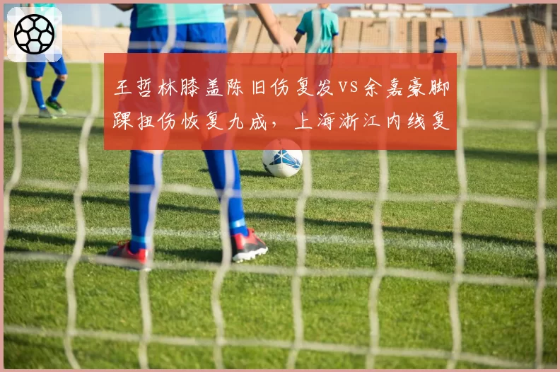 王哲林膝盖陈旧伤复发vs余嘉豪脚踝扭伤恢复九成，上海浙江内线复出时间博弈