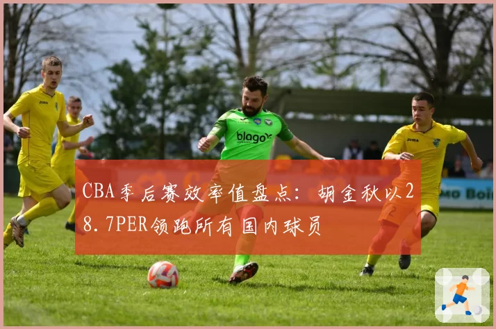 CBA季后赛效率值盘点：胡金秋以28.7PER领跑所有国内球员