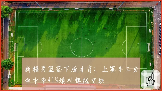 新疆男篮签下唐才育：上赛季三分命中率41%填补锋线空缺
