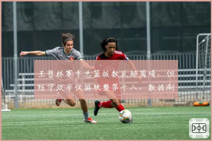 王哲林赛季总篮板数反超周琦,但防守效率仅排联盟第十八,数据刷子论再被提起