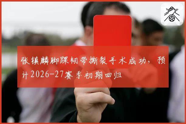 张镇麟脚踝韧带撕裂手术成功，预计2026-27赛季初期回归